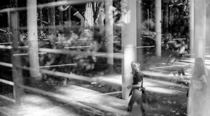 One of my best pictures